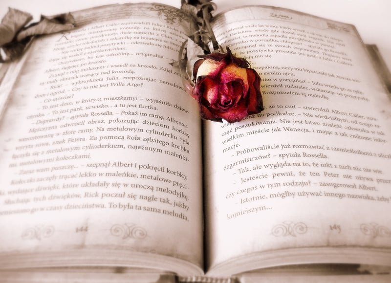 The Time Traveler's Wife by Audrey Niffenegger